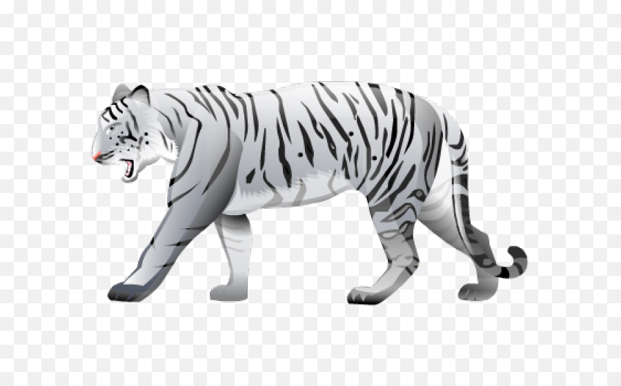 Tiger Png Image Royalty Free Stock Images For Your Design Tigers