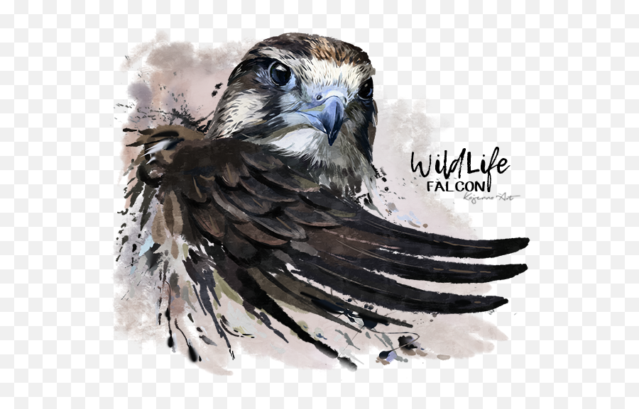 Falcon Png Transparent Image - Peregrine Falcon Falcon Tattoo,Falcon Png