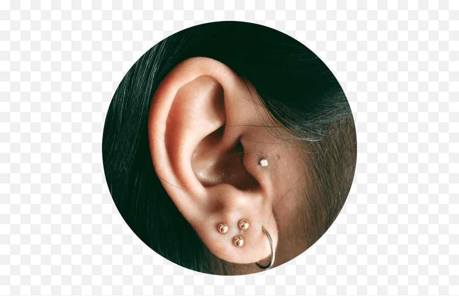 Ear Piercings - Earrings Png,Transparent Piercings