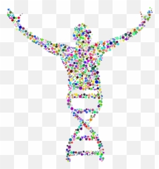Download Sperm Dna Fragmentation Test - Biology Full Human png