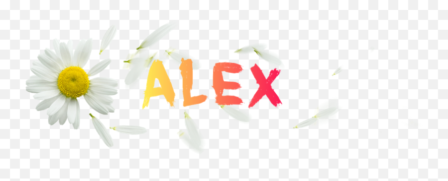 Real Editor Alex Flower Logo - Camomile Png,Yellow Flower Logo