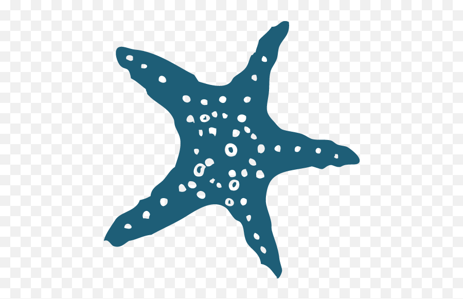 Cropped - Seastar1e5d7608png U2013 Massage Therapy By Dana Starfish,Sea Star Png