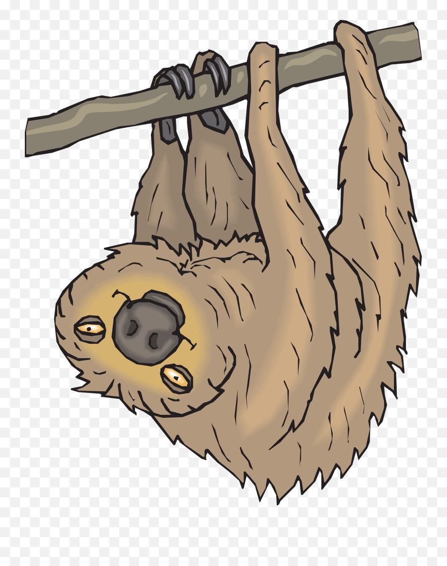 Sloth Hanging From Branch Clipart Free Download Transparent - Sloths Png,Hanging Png