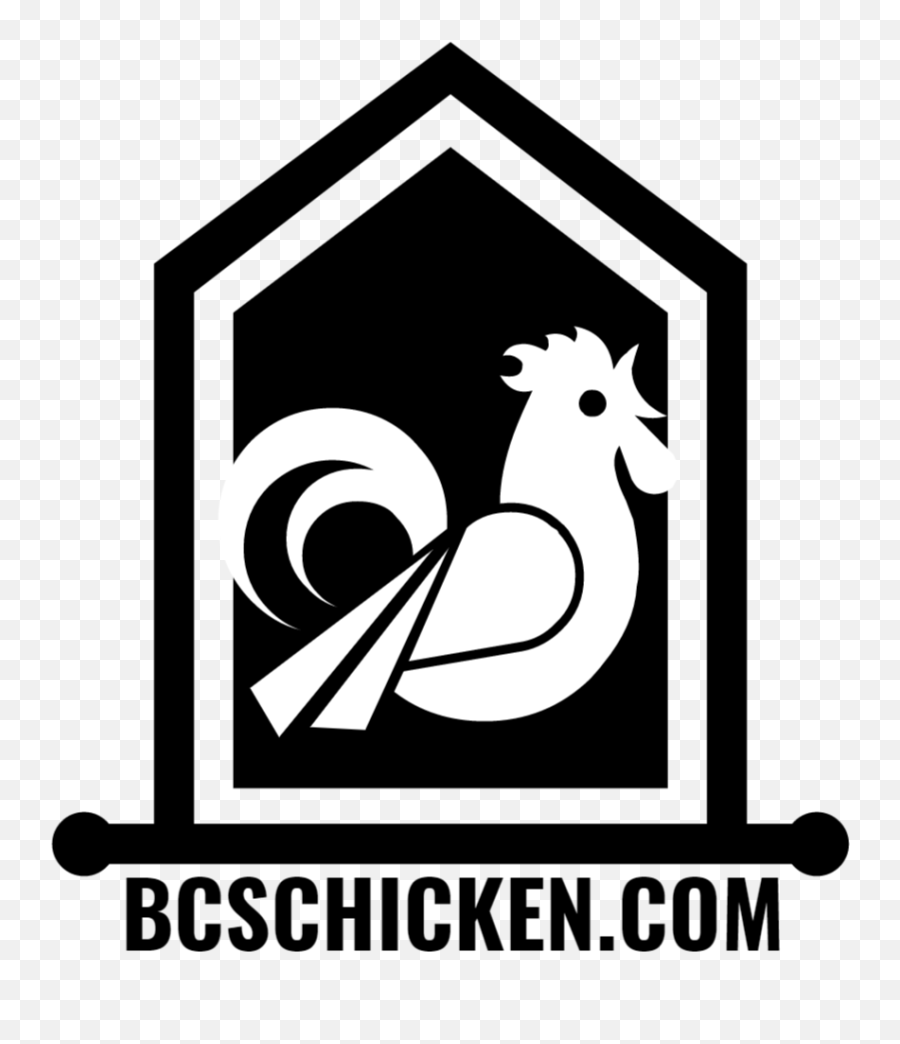Homepage - Bcs Chicken Petite Ferme Eco Martinique Png,Chicken Logo