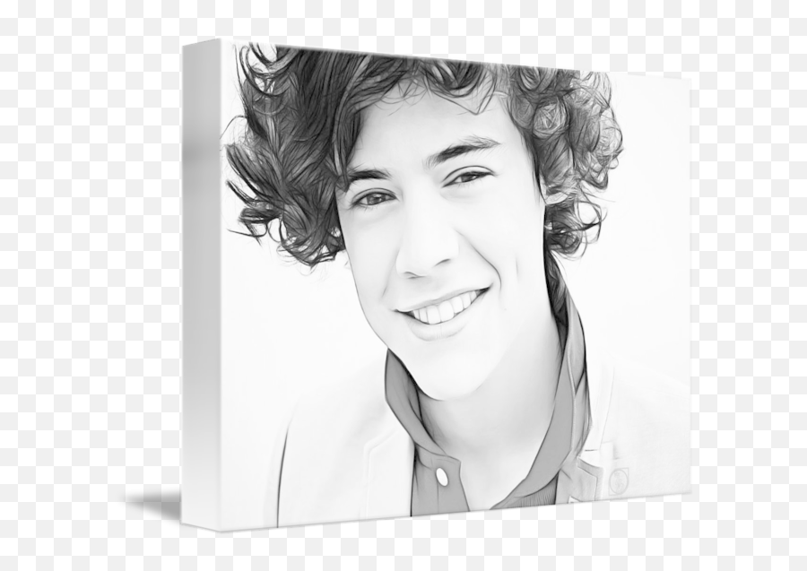 Harry Styles By Daniel York - Harry From One Direction Png,Harry Styles Png