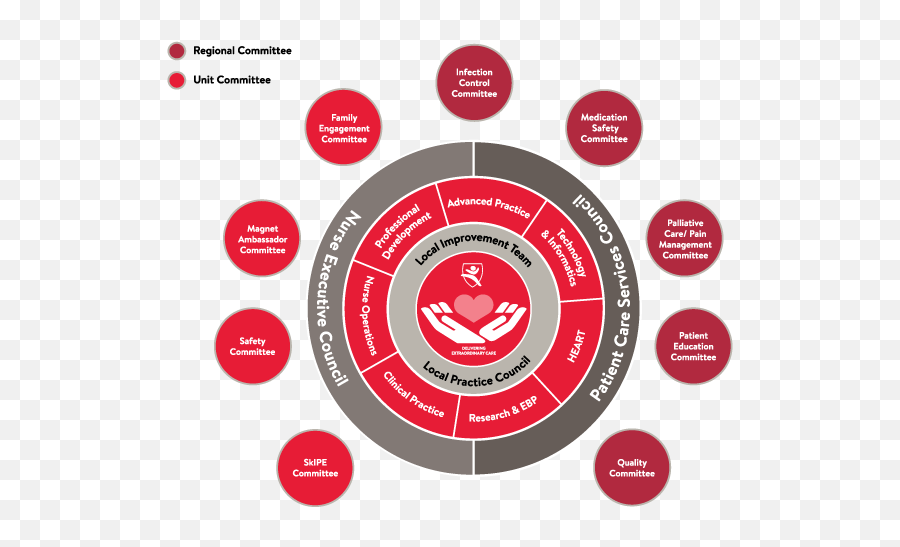 Nursing Shared Governance - Stanford Childrenu0027s Health Vertical Png,Ent Icon