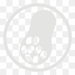 Peanut Allergy Grey Icon - White png