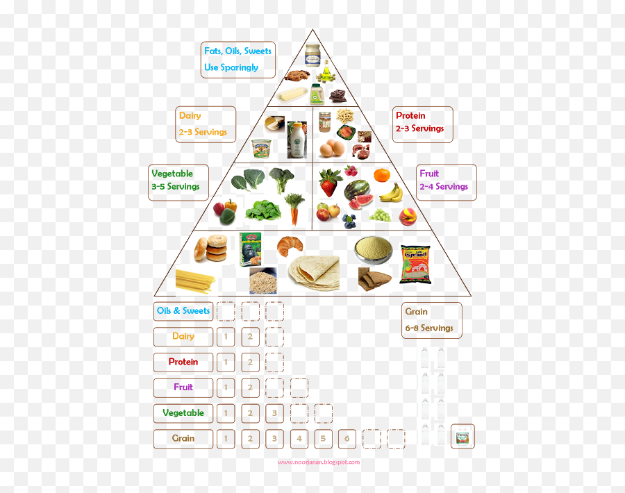 Food Chart - Make A Food Group Chart Png,My Plate Replaced The Food Pyramid As The New Icon