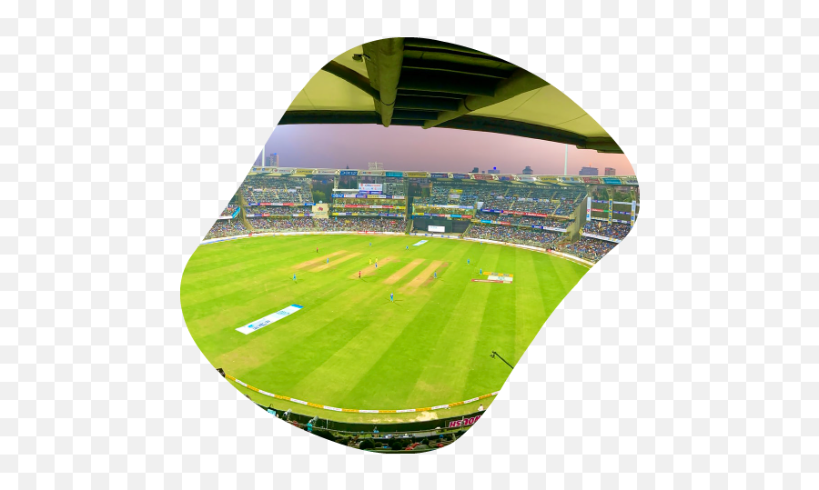 Ipl 2020 New - Pondicherry Cricket Stadium Png,What Is The Official Icon Of Chennai Super Kings Team