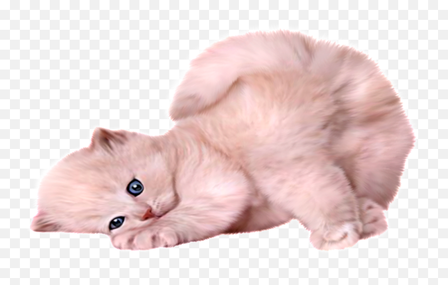 Download Beautiful And Cute Cartoon Cat Vector Image - White Transparent Background White Cat Png,Kitten Transparent Background