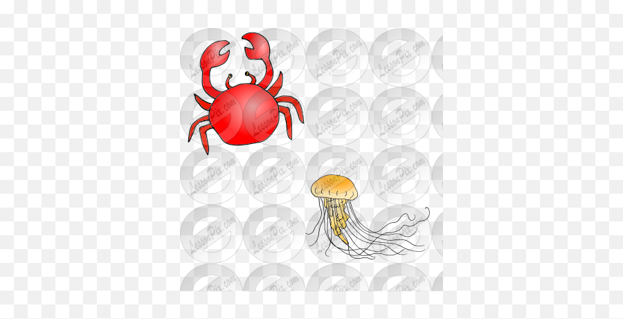 Crab And Jellyfish Picture For Classroom Therapy Use - Freshwater Crab Png,Jellyfish Icon