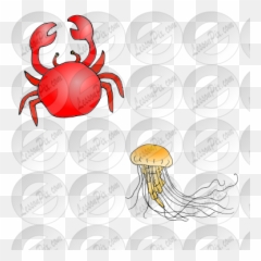 Crab And Jellyfish Picture For Classroom Therapy Use - Freshwater png