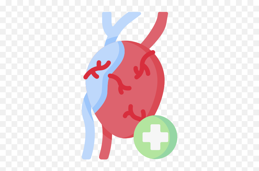 Cardiology - Free Healthcare And Medical Icons Png,Cardiovascular Icon