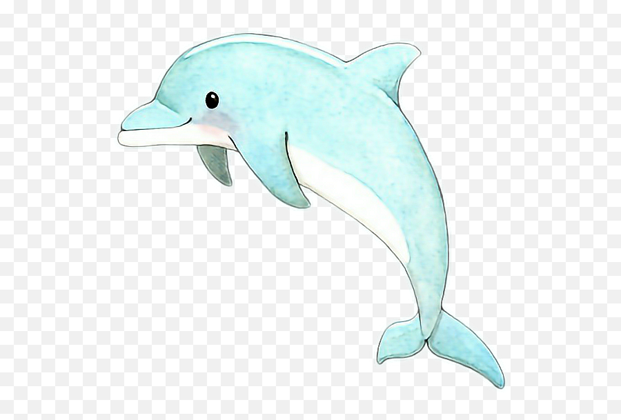 Dolphin Clipart Water Anime Pictures - Common Bottlenose Dolphin Png,Dolphin Clipart Png