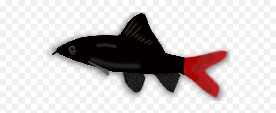Aquarium Fish Silhouette Clip Art - Black And Red Fish Png,Fish Silhouette Png
