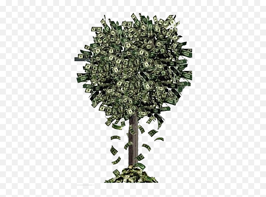 Tree Falling Money - Tree Full Of Money Png,Money Tree Png