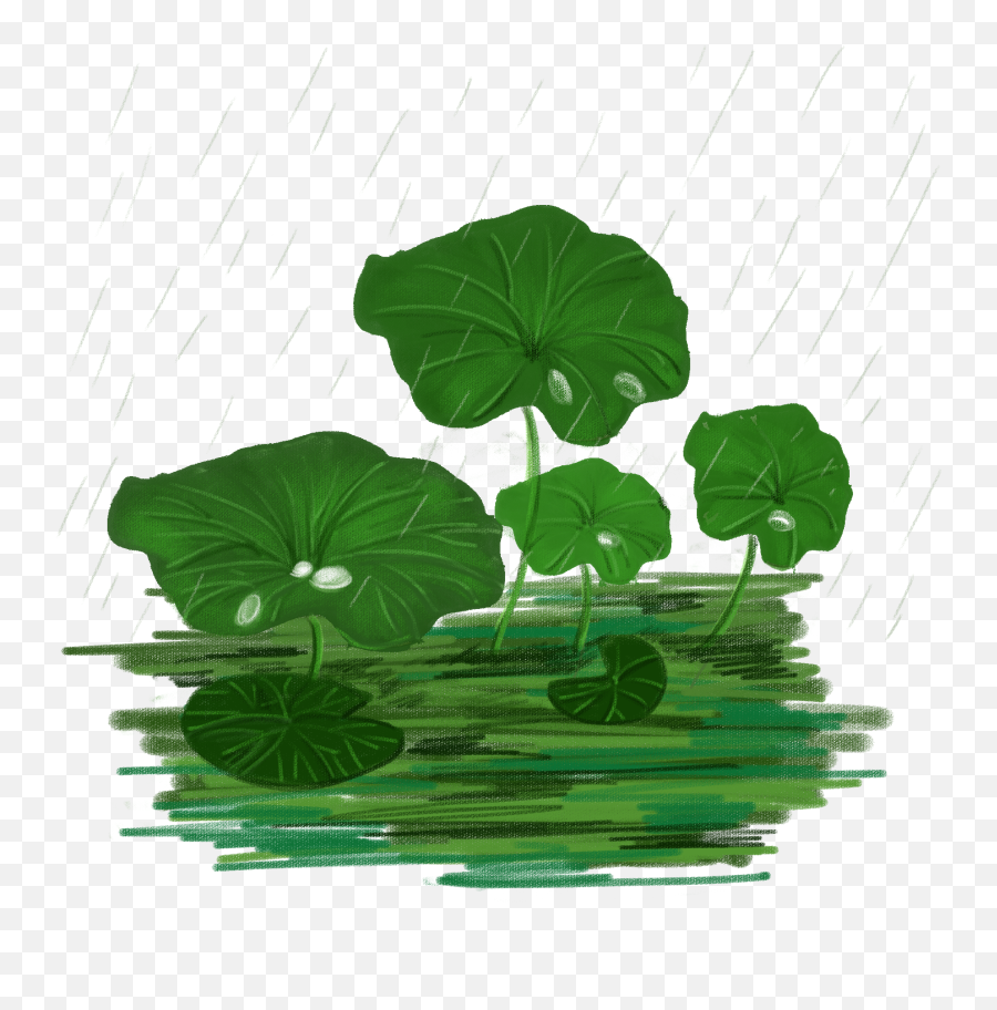 Plant Vector Png - Lotus Leaf Vector Realistic Plant Png And Portable Network Graphics,Leaf Vector Png