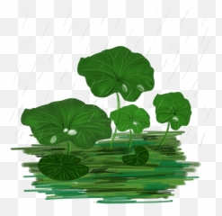 Plant Vector Png - Lotus Leaf Vector Realistic Plant Png And Portable Network Graphics