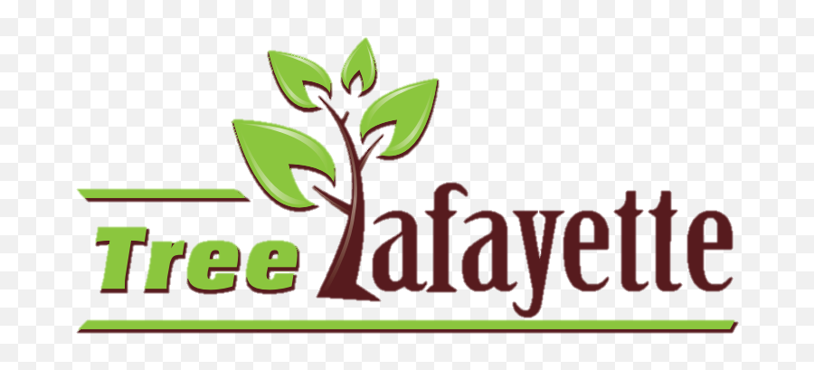 Tree Lafayette Non - Profit Trees Lafayette In Usa Graphic Design Png,Group Of Trees Png