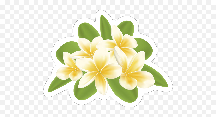 Cool Plumeria Flower Sticker - Frangipani Png,Plumeria Flower Png