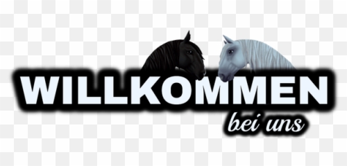 Star Stable Club Sso Pferdespiel Dpg - Mane Png,Star Stable Logo