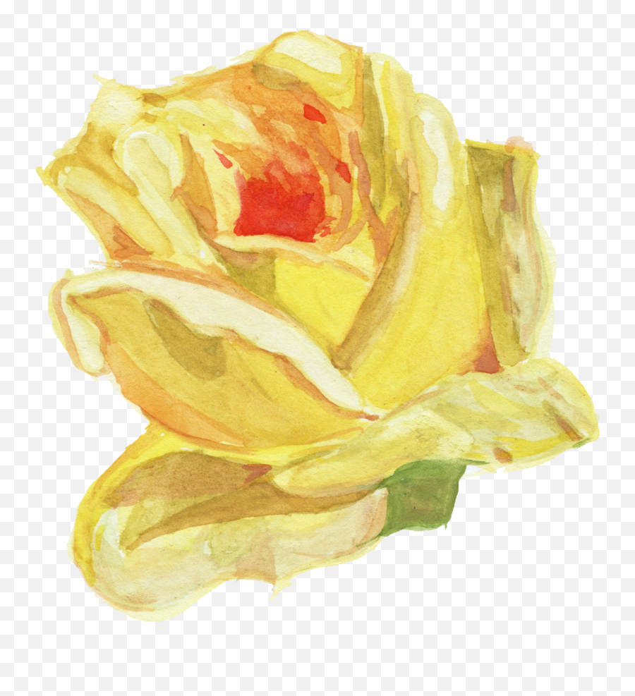 Watercolour Flower Png Image Library Stock - Watercolor Fresh,Watercolor Rose Png