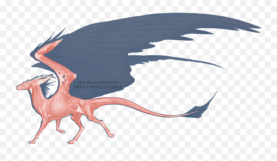 Muscular System Dutchangeldragons - Dragon Png,Angel Wings Icon For Facebook