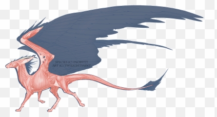 Muscular System Dutchangeldragons - Dragon png