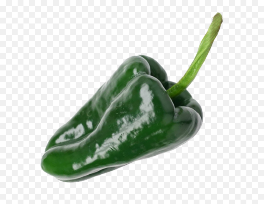 Chile Poblano Png Image - Poblano Pepper Png,Green Pepper Png