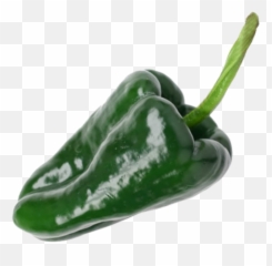 Chile Poblano Png Image - Poblano Pepper Png,Green Pepper Png