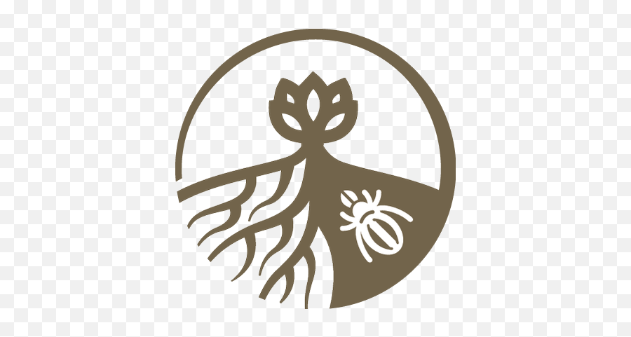 Soil Ecology Society - Spider Png,Coordinator Icon