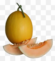 Melon 96 U2013 Green World Genetic - Honeydew Png,Cantaloupe Png