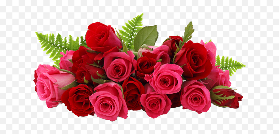 Rose Png Flower Images Free Download - Rose Png,Flower Bunch Png