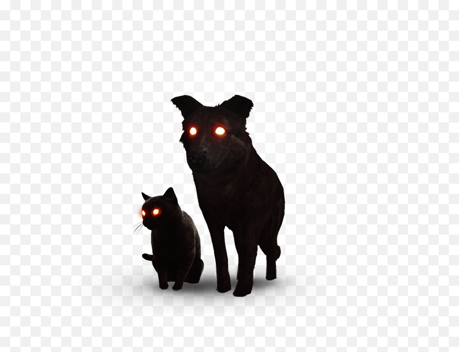 The Black Cat And Dog - The Official Witcher Wiki Black Cat And Dog The Witcher Png,Black Cat Png