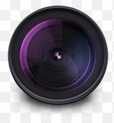 Qupath Would Like To Join Imagesc As Community Partner - Icy Image Analysis png