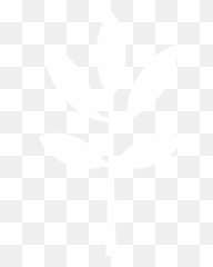 Home - Wildthyme Language Png,Sophia Bush Icon