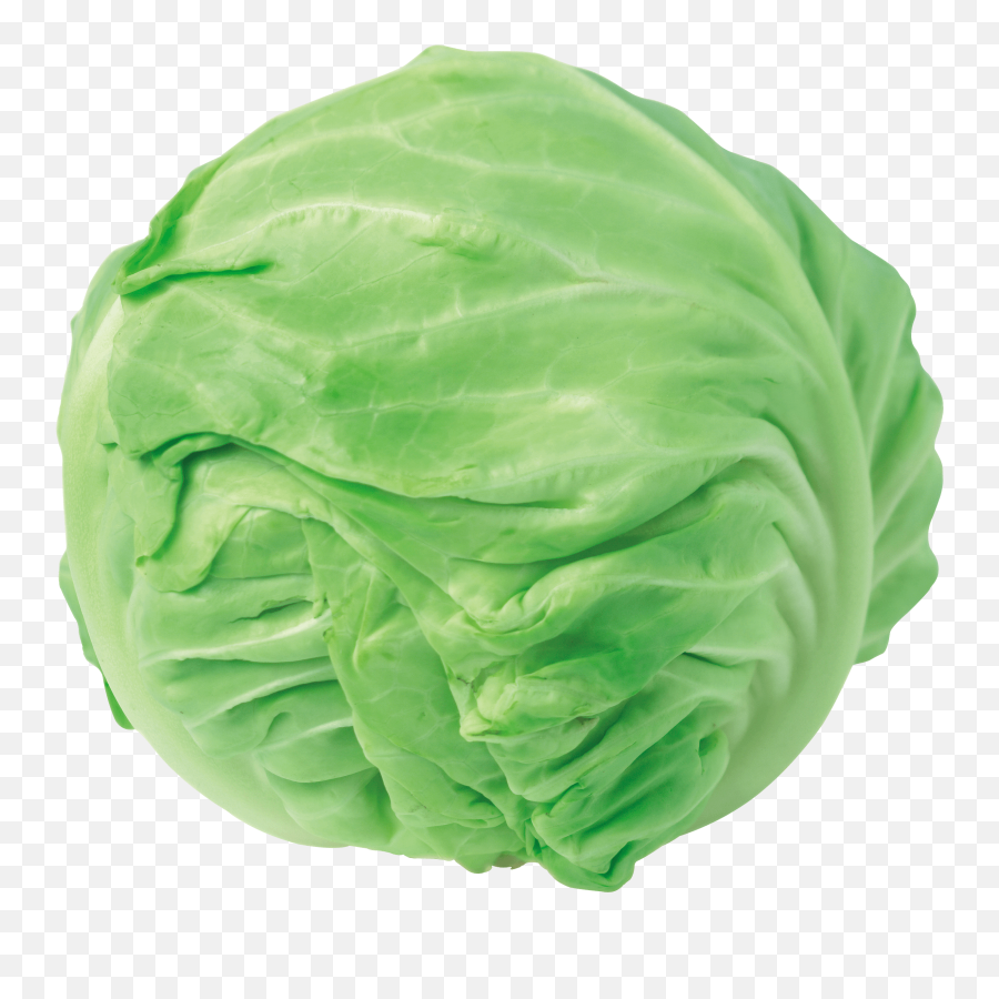 Download Free Cabbage Png Image Icon Favicon Freepngimg