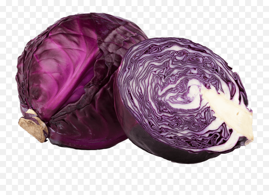 Download Red Cabbage Png - Red Cabbage Image Png Png Image Red Cabbage Transparent Background,Cabbage Png