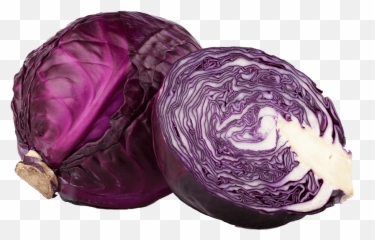 Download Red Cabbage Png - Image PNG Transparent Background