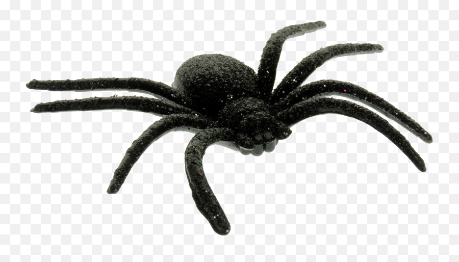 Png Free Scary Spider - Scary Spider Png,Spider Transparent