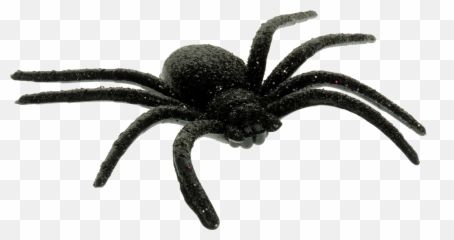Png Free Scary Spider
