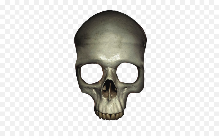 Skull Head Png Picture - Skull,Skull Head Png