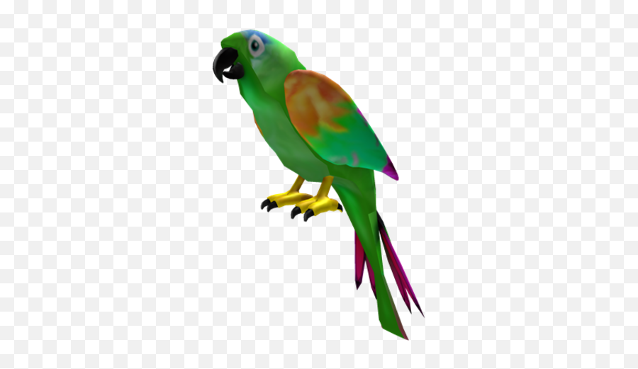 Captain Party Pirates Attack Parrot - Budgie Png,Pirate Parrot Png