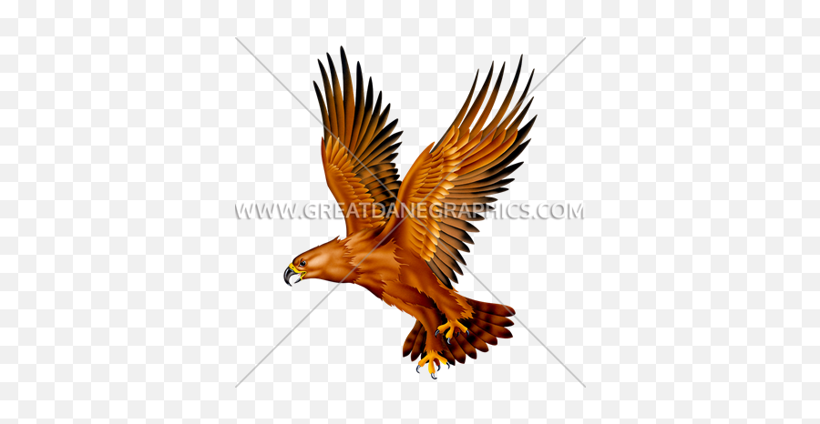 Golden Eagle Production Ready Artwork For T - Shirt Printing Golden Eagle Png,Golden Eagle Png