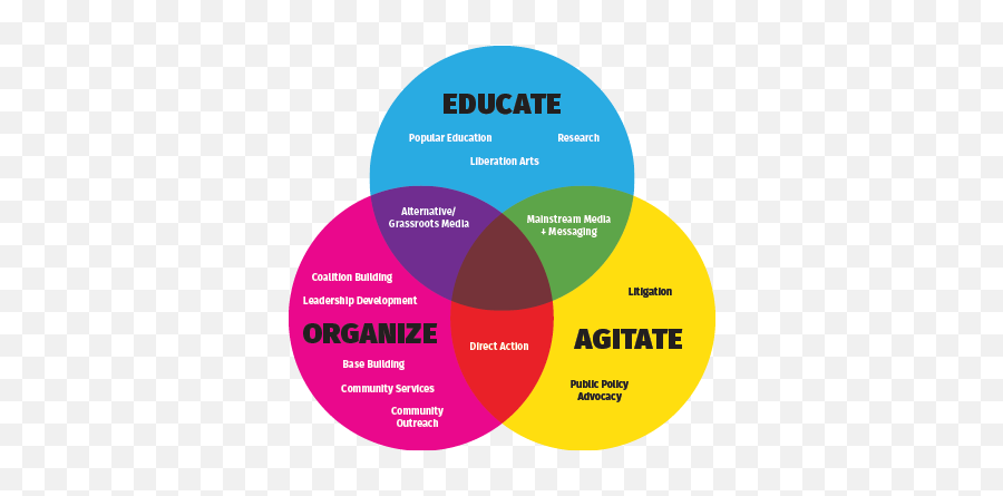 Venn Diagram - Charts Data Visualization And Human Rights Circle Png,Venn Diagram Png