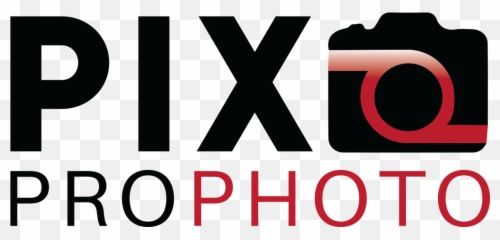 Get Your Red Sox 2020 Fantasy Camp Photos Right Here - Circle Png,Red Sox Logo Png
