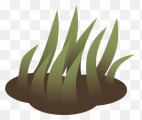 Computer Wallpaperplantgrass Png Clipart - Royalty Free Lawn