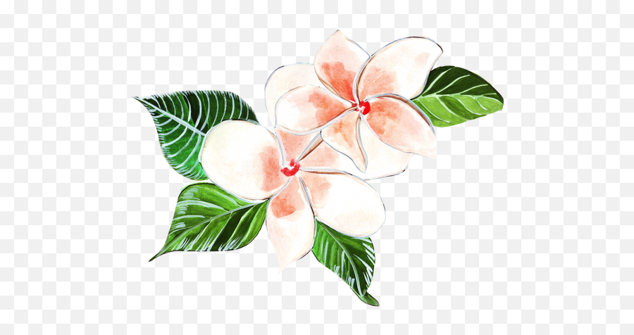 Hibiscus - Photos By Canva Clip Art Png,Plumeria Flower Png