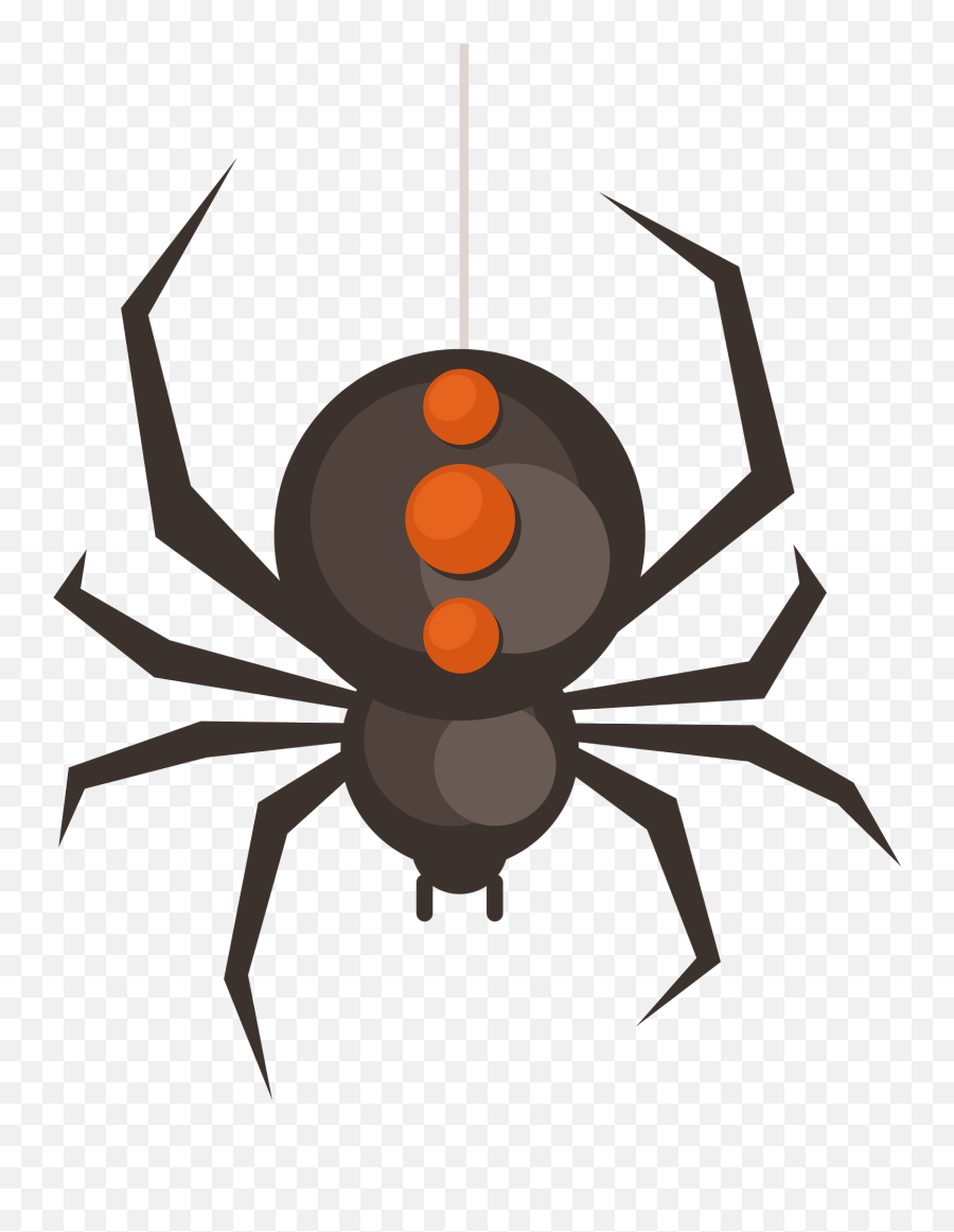 Spider Hanging Clipart Free Download Transparent Png - Black Widow,Black Widow Spider Png