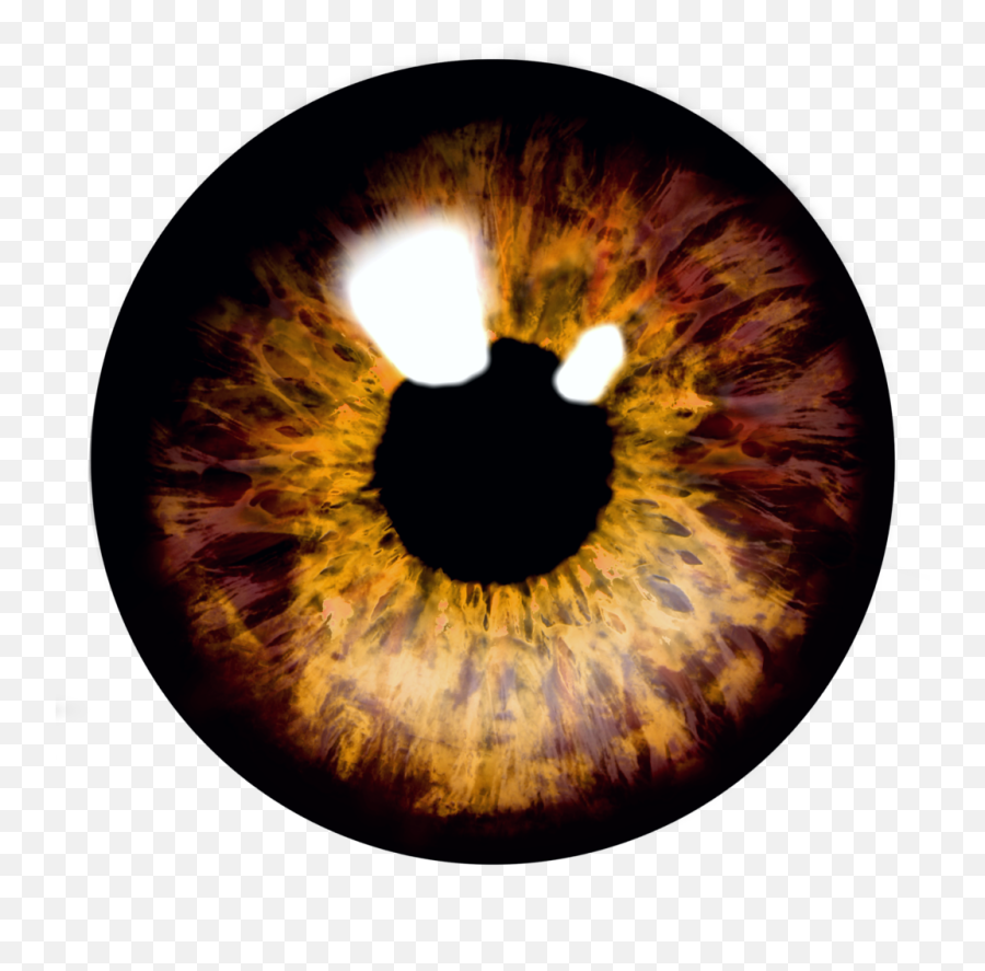 Eyes Eyeball Eyeballs - Brown Eye Iris Png,Eye Ball Png